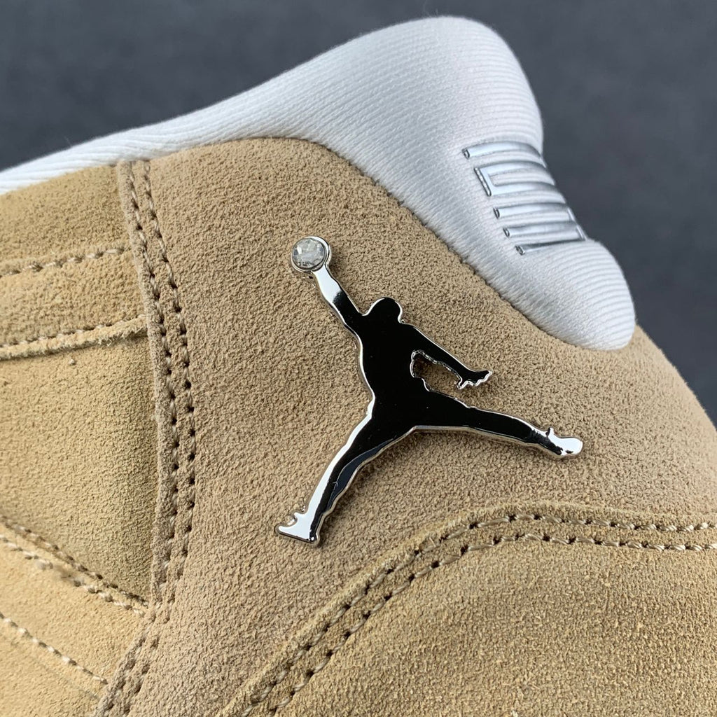 Air Jordan 11 Retro 'H-Town'